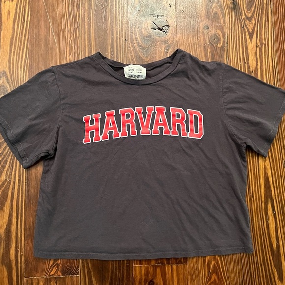 FRENCH PASTRY HARVARD Logo Grey Crop Top Red Lettering 100% Cotton University - Picture 2 of 5